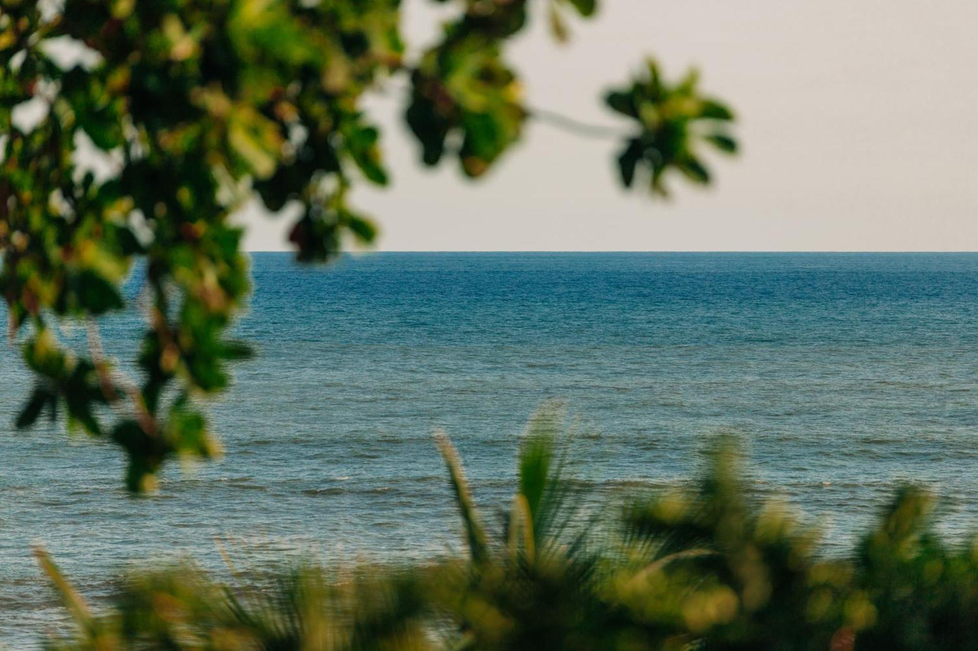 Puro Surf Hotel El Zonte Eksteriør bilde